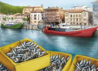 /album/fotogaleria-calendario-2019-gipuzkoa/anchoa-orio2-jpg/